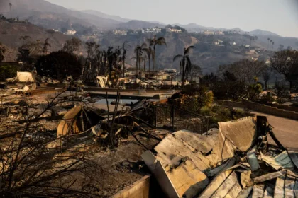 Los Angeles Wildfires